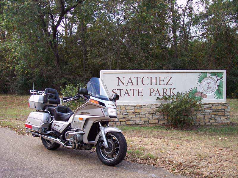 Goldwings at the Natchez State Park