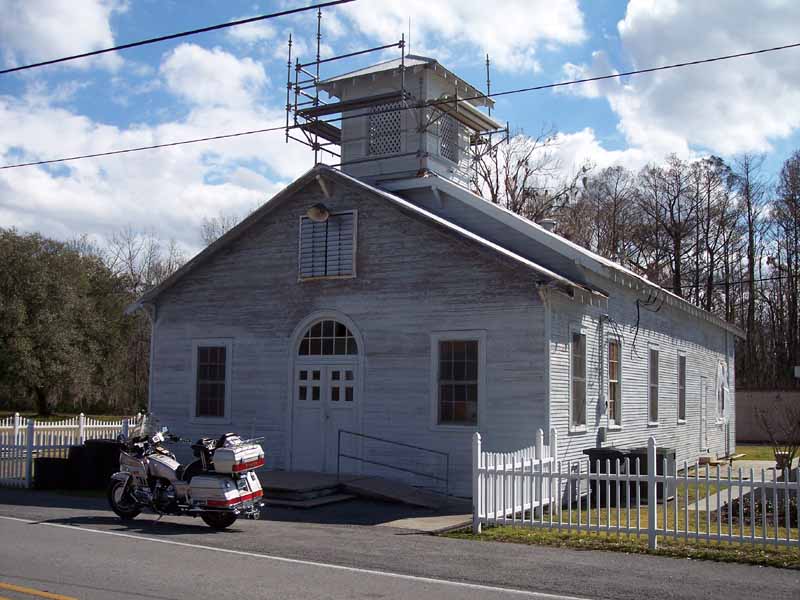 Tail of the Gator in Kramer Louisiana